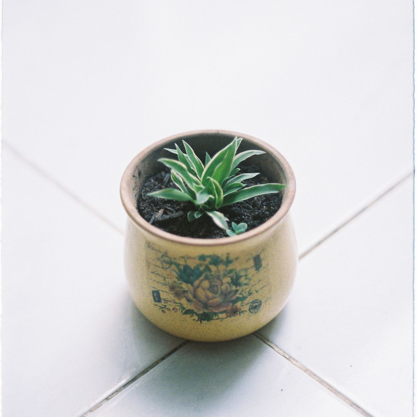 A decorated pot on a tiled floor with a green plant growing in it.