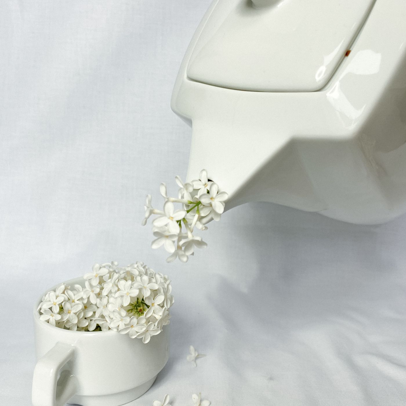 A white porcelain teapot pouring lilac flowers into its matching cup on a white surface.