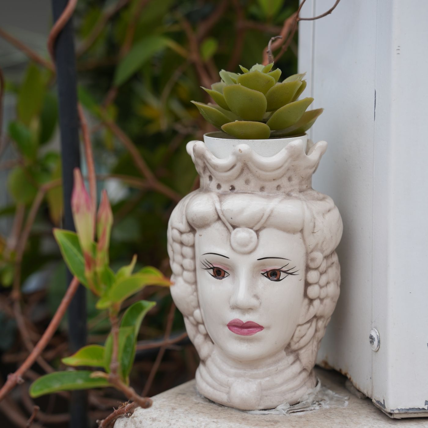A Sicilian face planter, shown here with a succulent growing out of the top.
