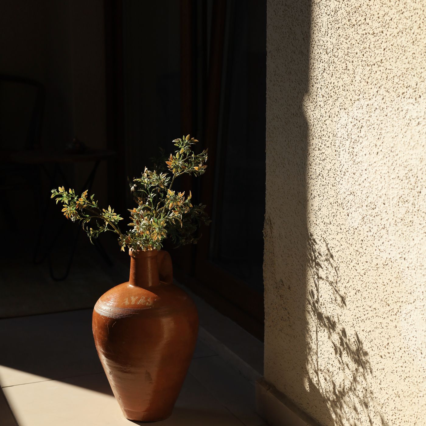 A terracotta vase indoors in warm light, holding green foliage that throws a long shadow.